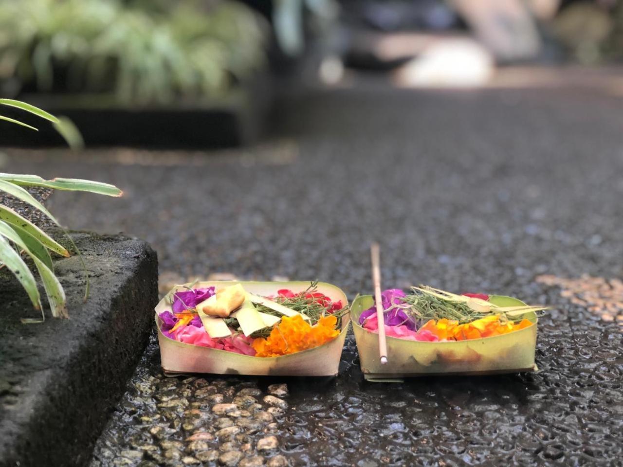 Hotel Depa House Ubud Zewnętrze zdjęcie