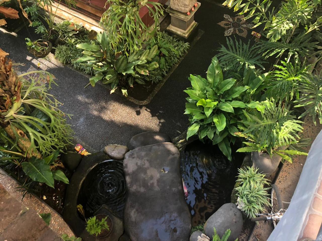 Hotel Depa House Ubud Zewnętrze zdjęcie